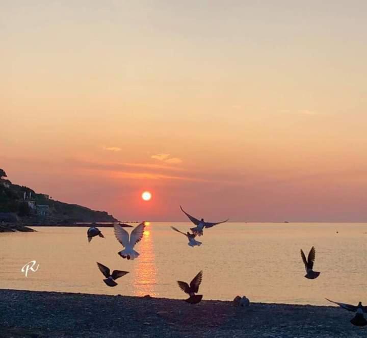 Ca Del Polpo Holiday home